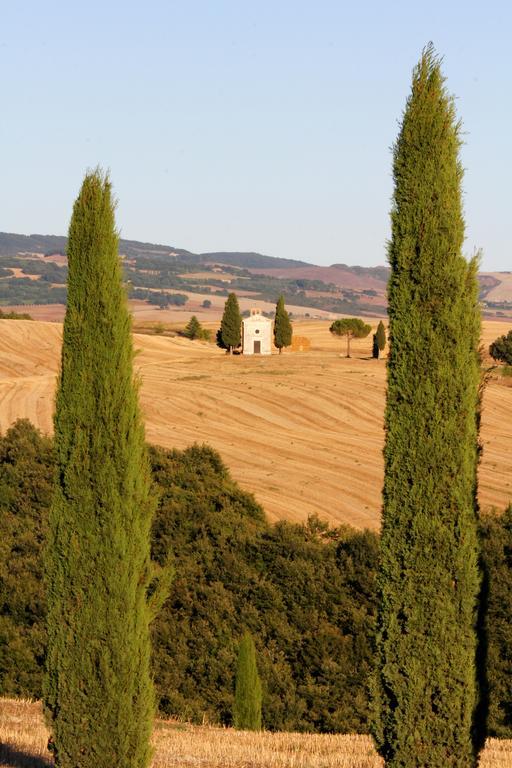 La Terrazza Sulla Val D'Orcia Apartment Castiglione d'Orcia Exterior photo