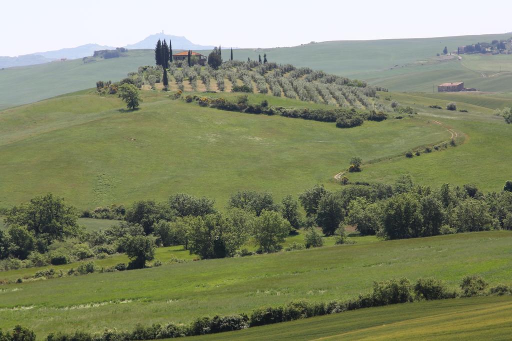 La Terrazza Sulla Val D'Orcia Apartment Castiglione d'Orcia Exterior photo